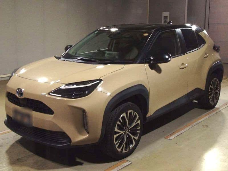 BEIGE LARTON TWO TONE